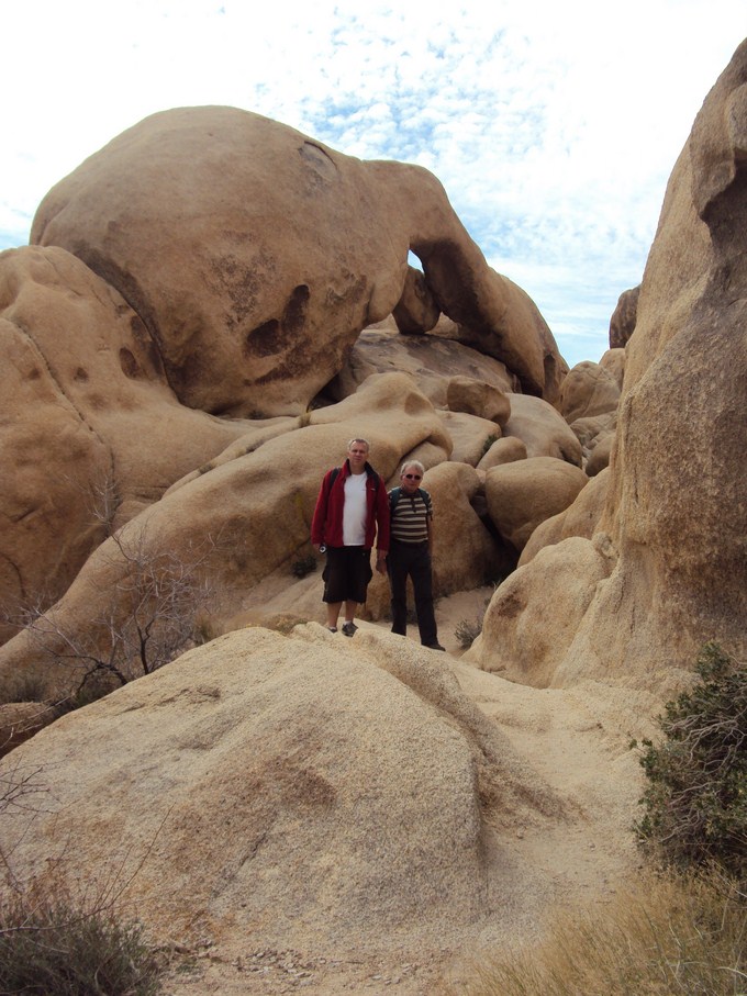 joshua tree (6) (Copier).JPG